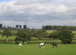British Countryside